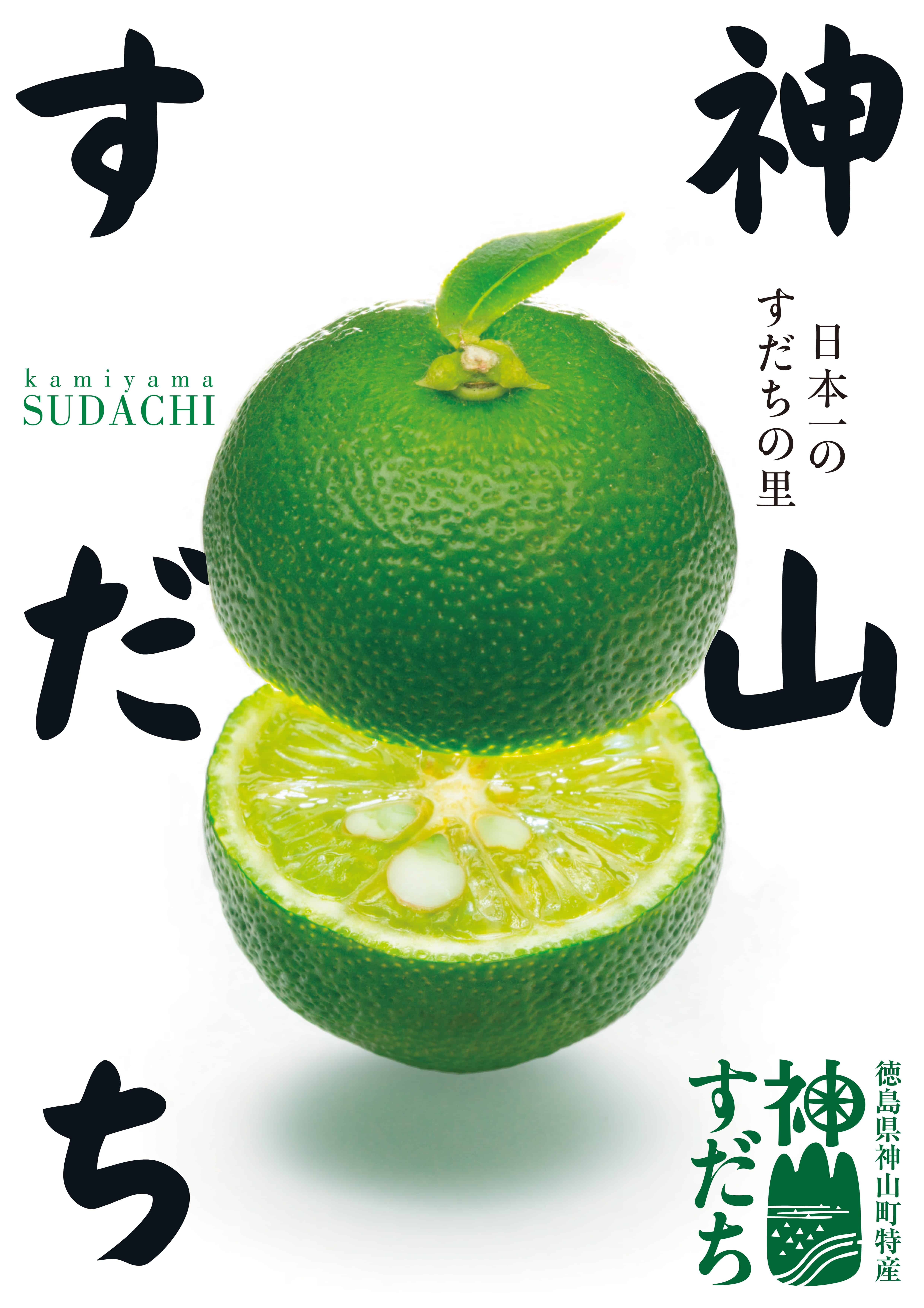 居酒屋 いちげん南浦和店 /すだち/個室/飲み放題/ご飯